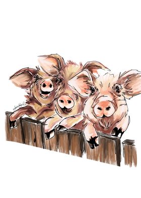 Three pigs