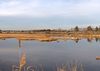 Connecticut Pano Panorama 