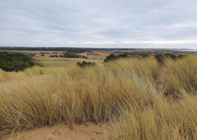 Dunes