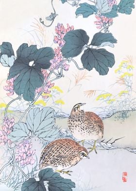 Quails And Kudzu Flowers