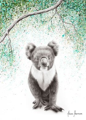 Koala Pride