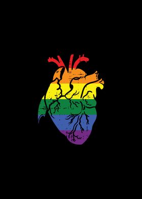 Anatomical Heart LGBT