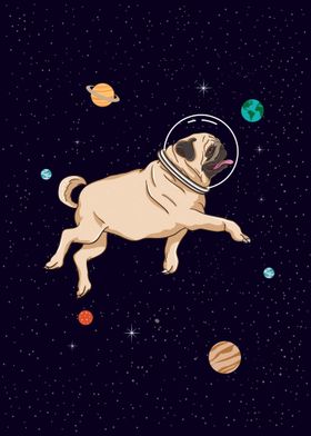 Pug In Space