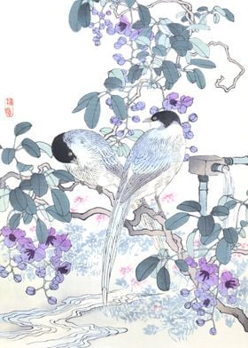 Magpies And Purple Flowers