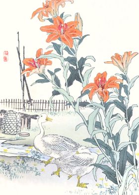 Ducks and Tiger Lilies