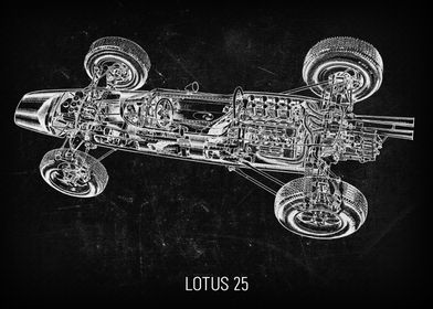 Lotus 25