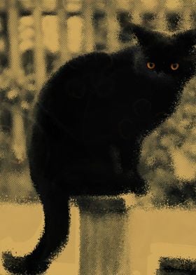 Black Cat