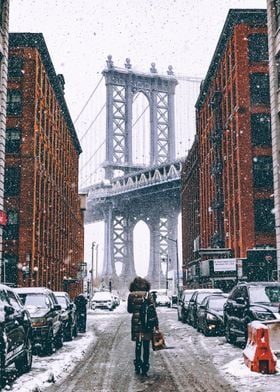 Winter New York City Snow