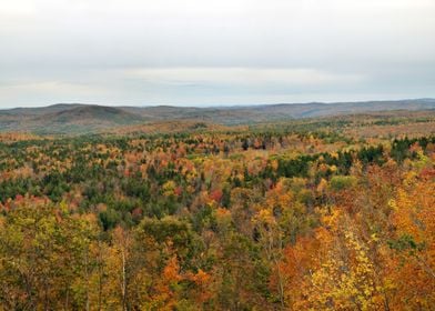 Hogback Mountain Vt Vermon