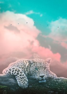 Resting Leopard 