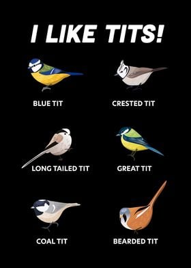 I like Tits and Karaoke Funny Bird Gift Art Print by Qwerty Designs