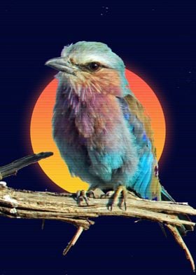 bird in 90s style