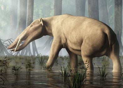 Ambelodon