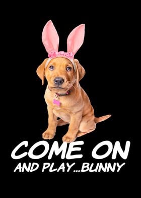 Come On And Play Bunny Dog