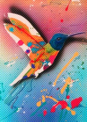 Hummingbird in colors 