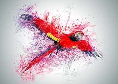 Parrot Bird Painting