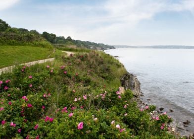 Atlantic Cliff Coastline I