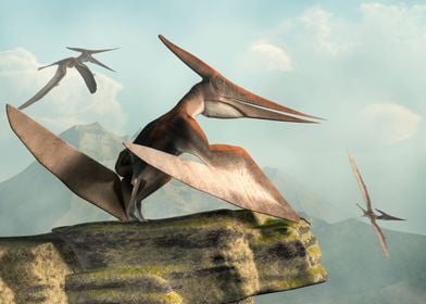 Pteranodons