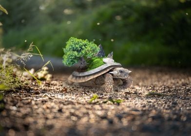 Realistic Torterra