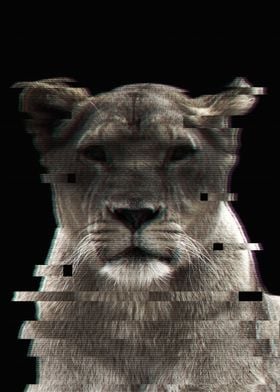 Glitched Lioness