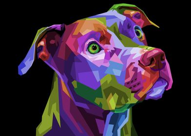colorful pitbull dog