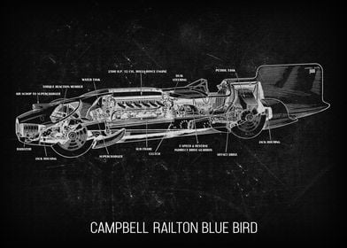 CampbellRailton Blue Bird