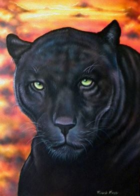 Sunset black panther