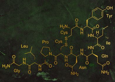 Oxytocin Hormone Of Love 