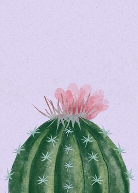 Cactus Poster