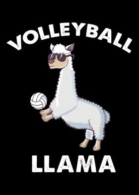 Volleyball Llama  Beach V