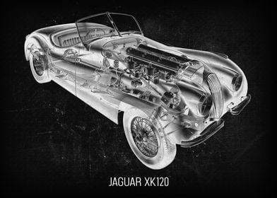 Jaguar XK120