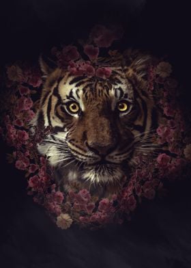 Tiger Flower 