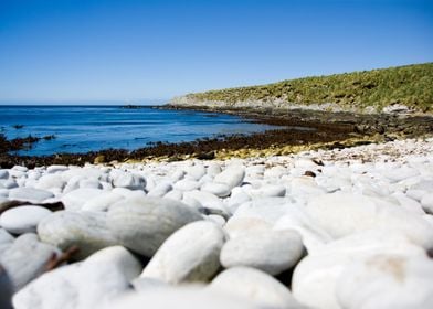 Falkland Islands Rocks Peb