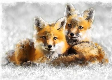 Foxes