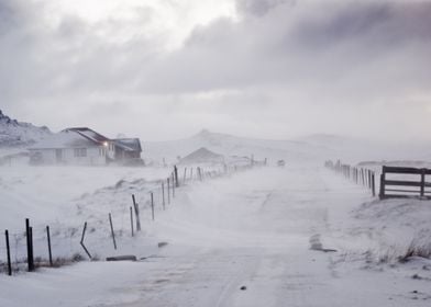 Snow Winter Storm Landscap