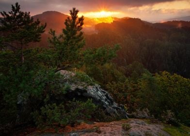 Czech Woodland View Valley