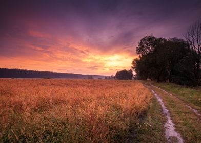 Rural Landscape Countrysid