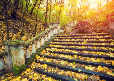 Park Walkway Stairway Land