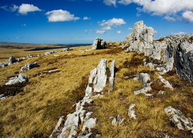 Falkland Islands Rock Land