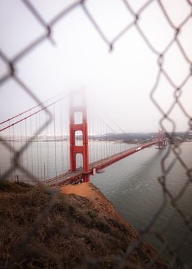 bridge and the fog