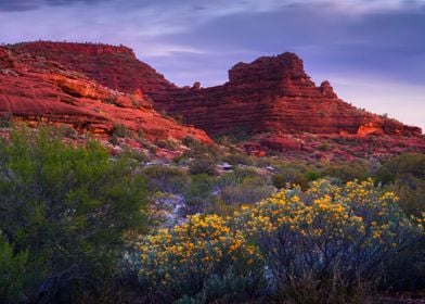 Alice Springs Aussie Austr