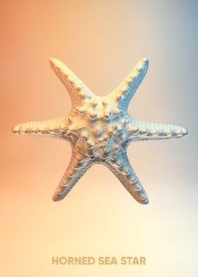 sea star