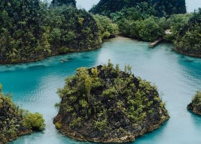 Pianemo Island Blue Lagoon