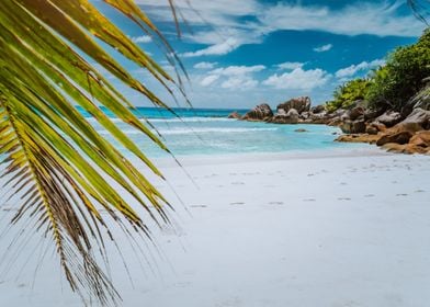 Tropical La Digue Island S