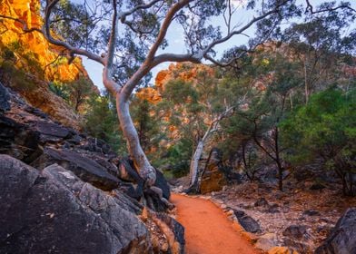 Alice Springs Australia Be