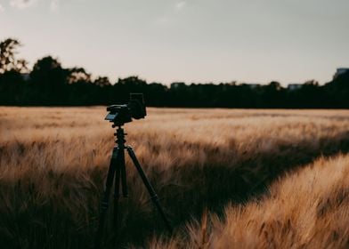 Silhouette Of Camera On Tr