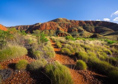 Alice Springs Aussie Austr