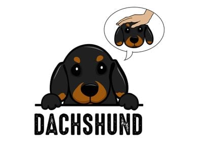 Dachshund  Wiener Dog Pup