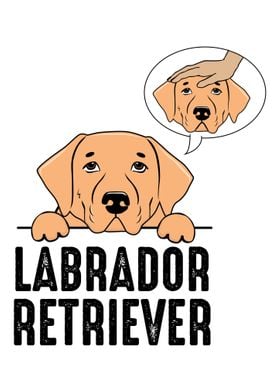 Labrador Retriever  Dog O