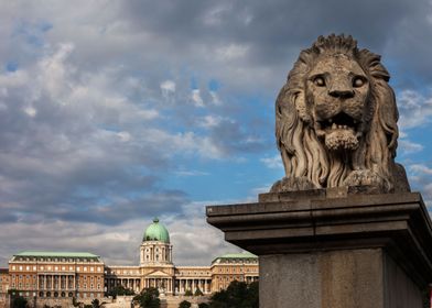 Bridge Lion in Budapest